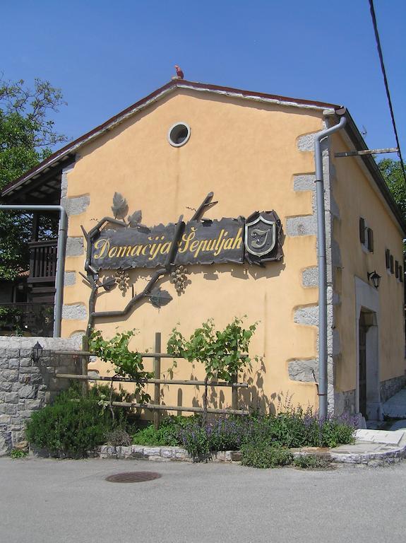 Guesthouse Domacija Sajna Sezana Luaran gambar